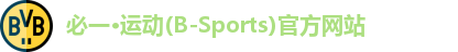 必一·体育(b-sports)